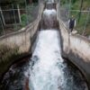 escacez de agua en mexico