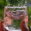 agua de lluvia