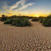El Calentamiento Global Destruye la Economía