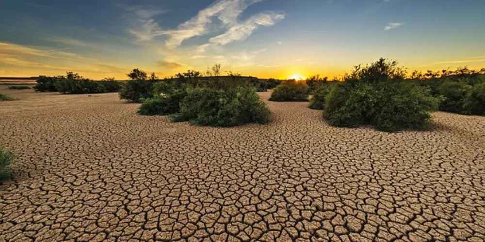 El Calentamiento Global Destruye la Economía