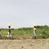 Cuanta gente tiene acceso a agua potable