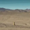 Sequía en México