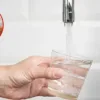 microplasticos