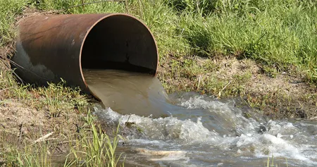 crisis ambiental de México