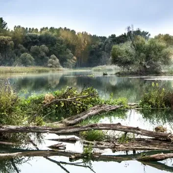Agua Dulce