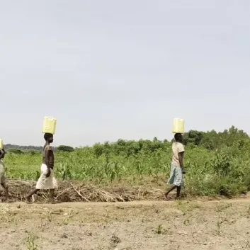 Cuanta gente tiene acceso a agua potable
