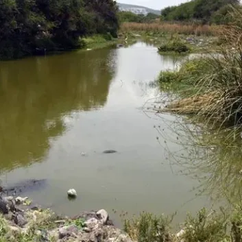 Guanajuato enfrenta crisis por agua contaminada-p1