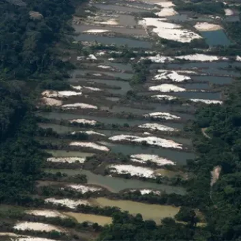 Escasez de agua