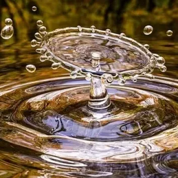 Por qué es tan importante el agua