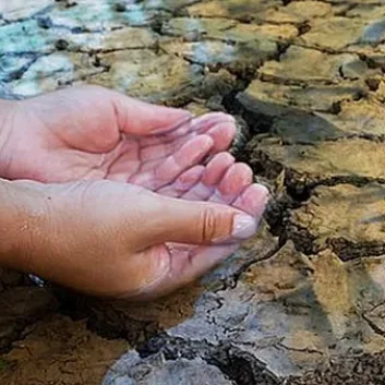 El Agua Potable