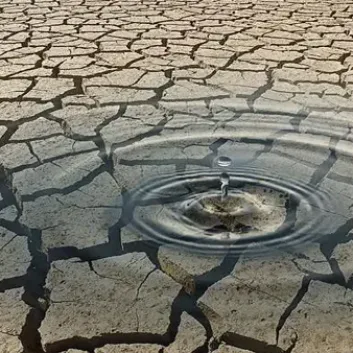 Innovador Dispositivo Solar