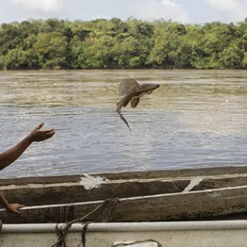 Ciclo de la Pesca