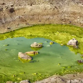 contaminación del agua