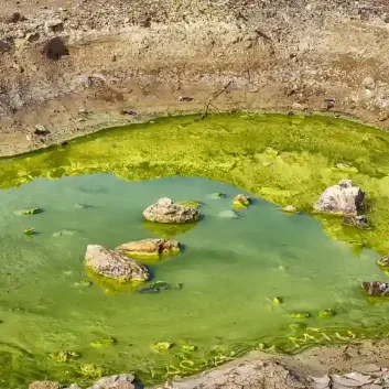 contaminación del agua