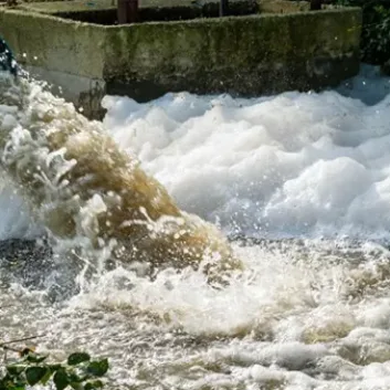 crisis ambiental de México
